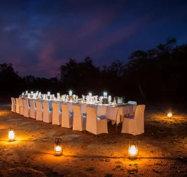 Elegant outdoor dining setup at Arathusa Safari Lodge, with a long table adorned with white linens and chairs, illuminated by lanterns under the night sky.