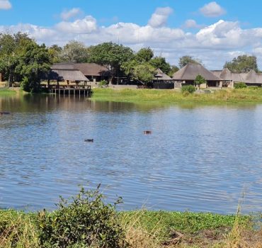 View of the waterhole at Arathusa Safari Lodge with hippos in the water and thatched lodges in the background