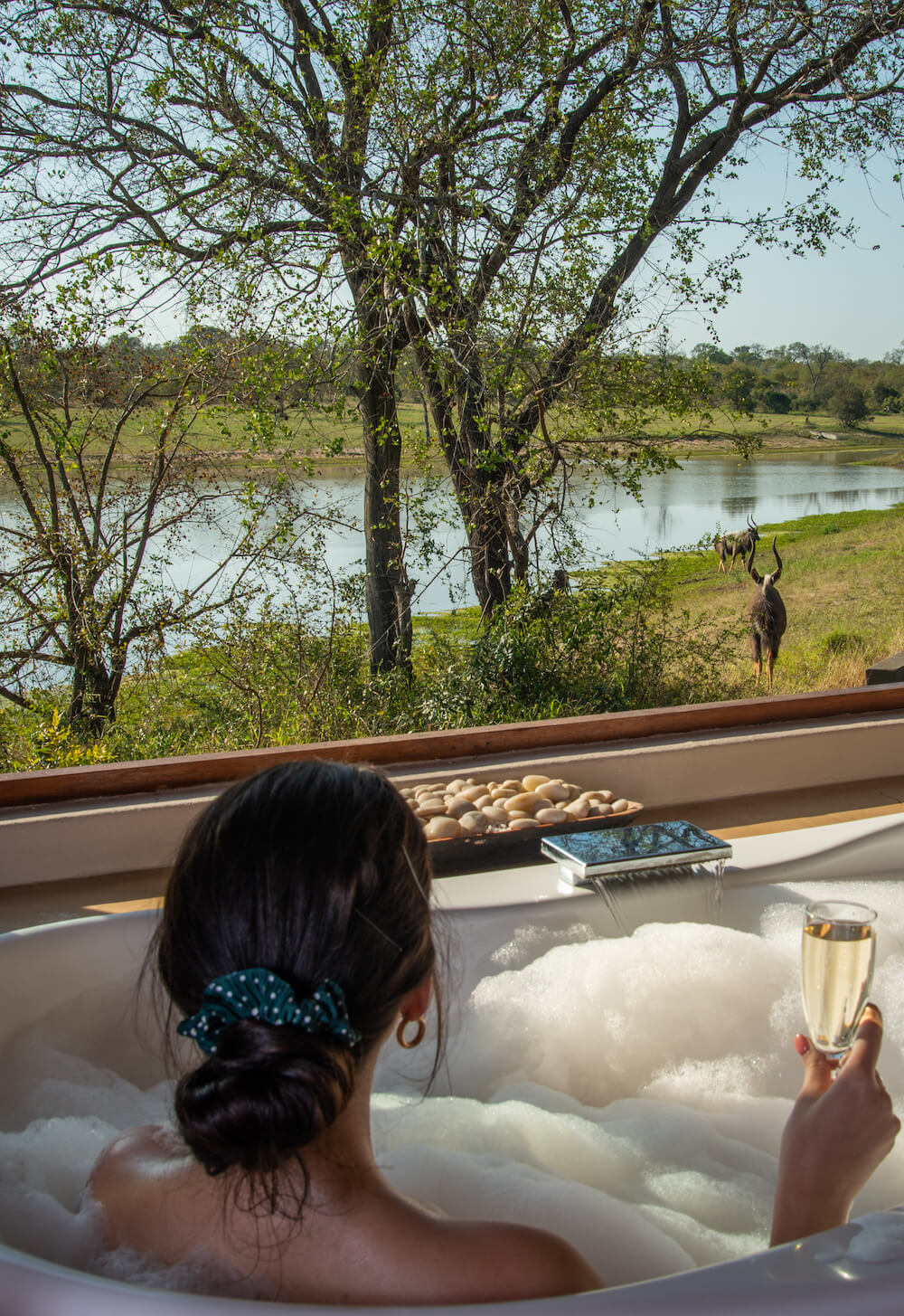 lady-bathing-with-a-view-of-the-bush