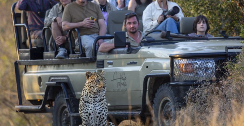 Group of tourists on a safari tour in an open vehicle at Arathusa Safari Lodge, with a leopard sitting nearby.