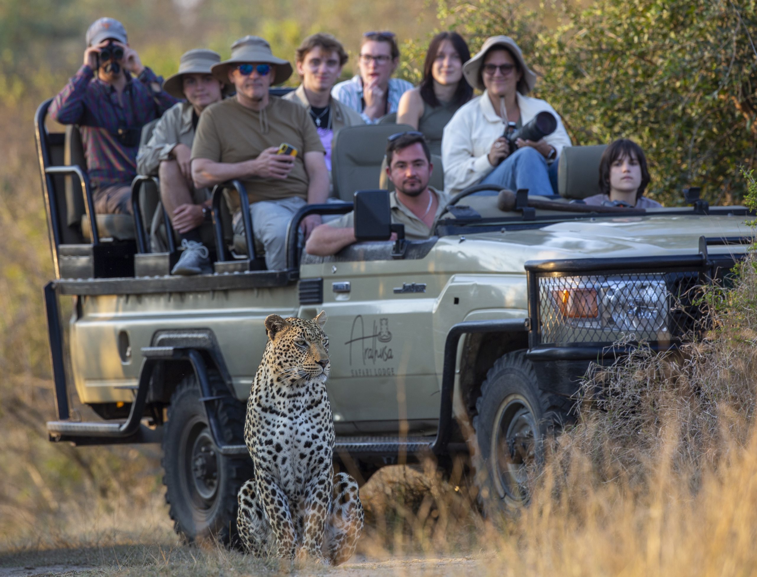 Group of tourists on a safari tour in an open vehicle at Arathusa Safari Lodge, with a leopard sitting nearby.